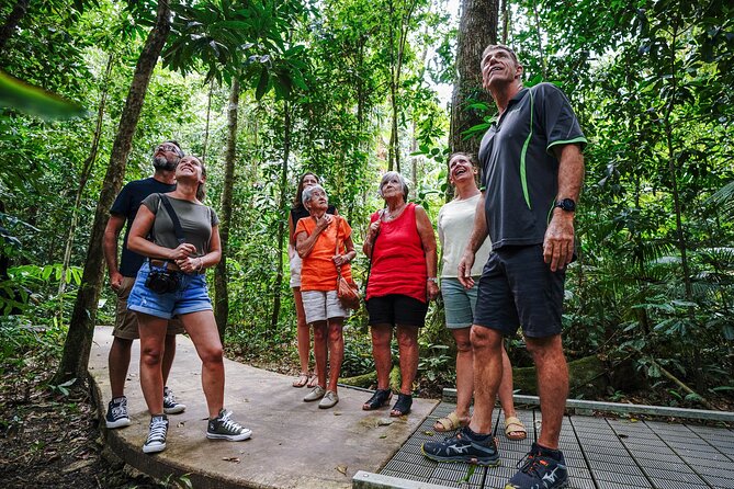 Daintree, Cape Tribulation & River Cruise from Port Douglas - Crocodiles and birds on the Daintree River