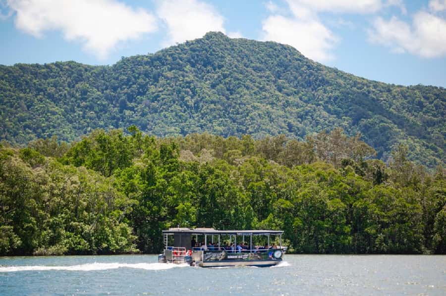 Daintree: Guided Daintree River Wildlife Cruise - What the guide adds to the boat ride