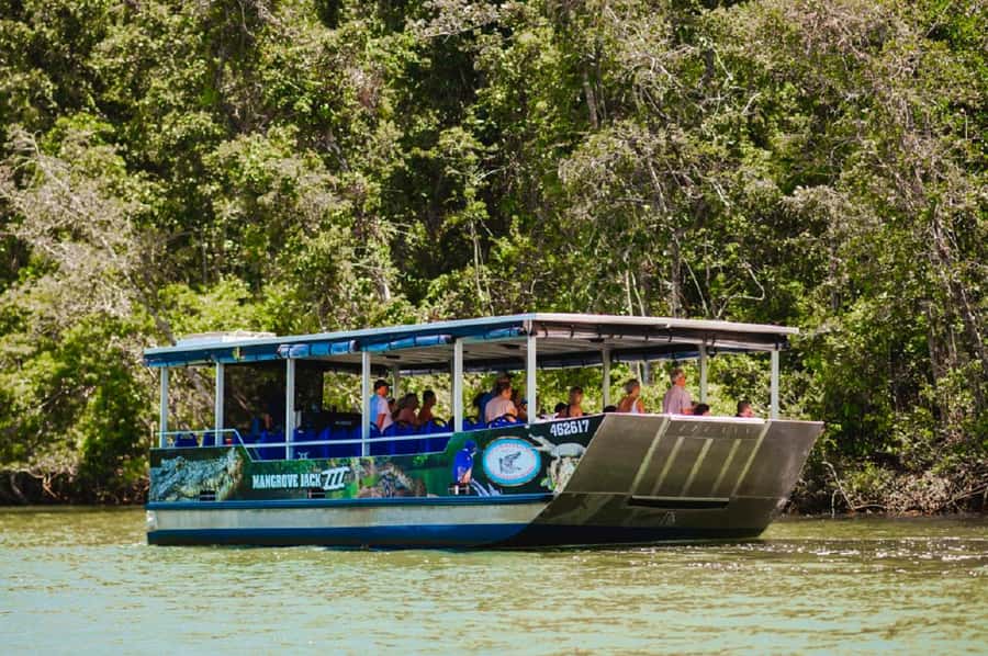 Daintree: Guided Daintree River Wildlife Cruise - Reading the river instead of chasing animals