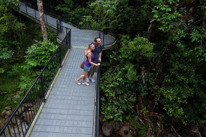 Daintree Rainforest and Cape Tribulation Day Tour from Cairns - A private rainforest lunch with local flavors