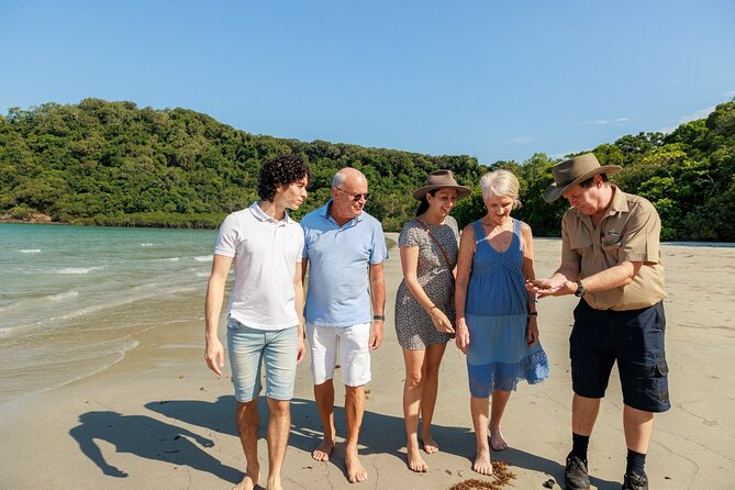 Daintree Rainforest and Cape Tribulation Day Tour from Cairns - The early coach ride north from Cairns