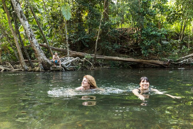 Daintree Rainforest and Cape Tribulation Full Day Tour - Why this Daintree day makes sense from Cairns