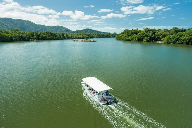 Daintree Rainforest and Cape Tribulation Full Day Tour - Guided boardwalks through the ancient rainforest