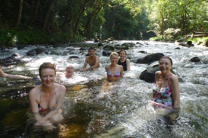 Daintree Rainforest, Mossman Gorge Small-Group from Port Douglas - Mossman Gorge: a strong first stop