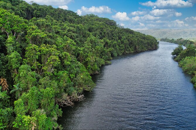 Daintree River Cruise - The bonus cruise and how to use it