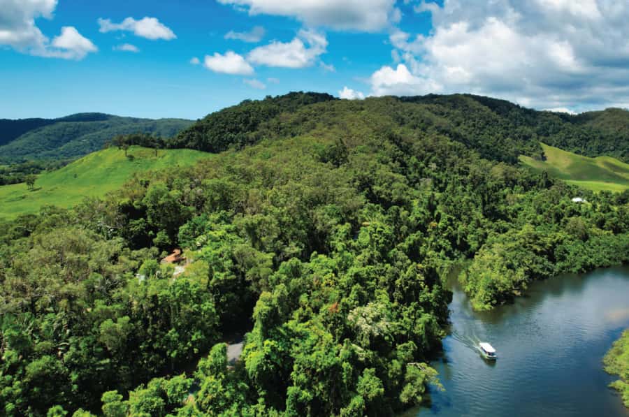 Daintree: River Rainforest Crocodile & Wildlife Cruise (DV) - What the Daintree River cruise is really like