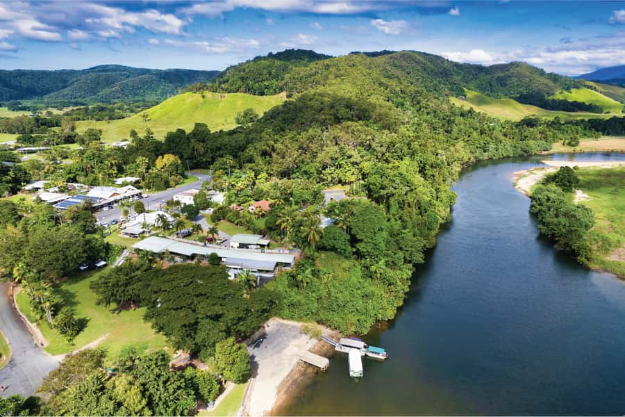 Daintree: River Rainforest Crocodile & Wildlife Cruise (DV) - Rainforest, birds, snakes, and the river setting