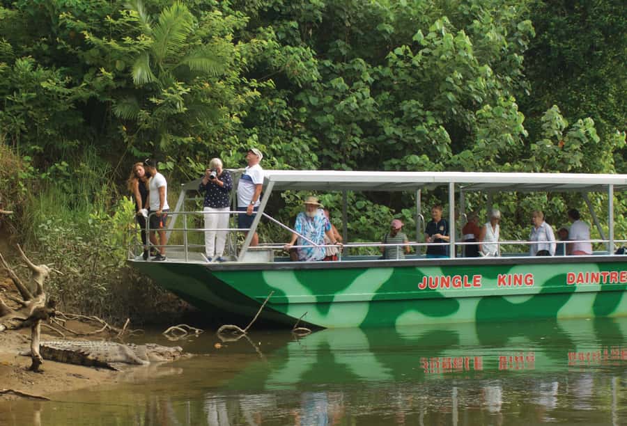 Daintree: River Rainforest Crocodile & Wildlife Cruise (DV) - Planning the day without making it stressful