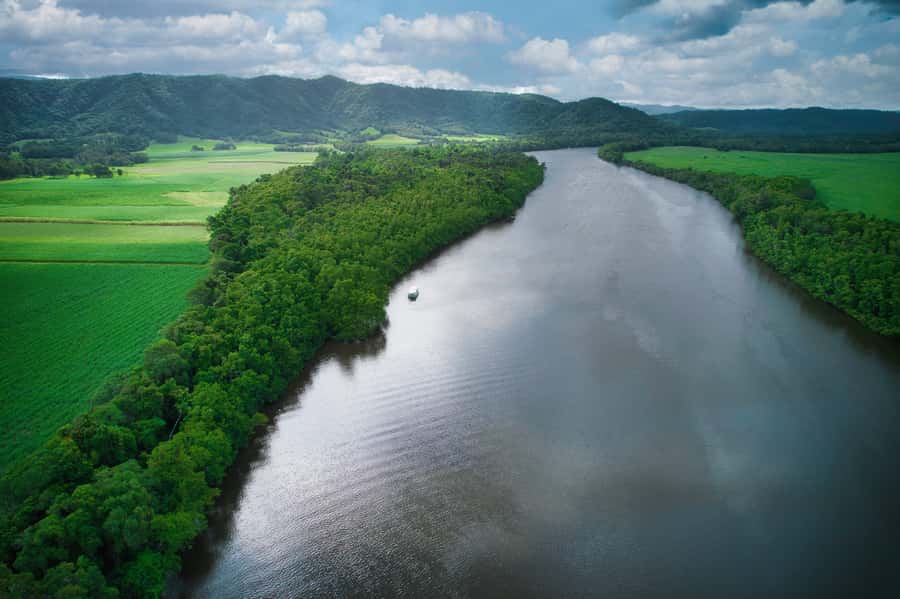 Daintree River Rainforest: Crocodile & Wildlife Cruises (DG) - Key points to know before you go