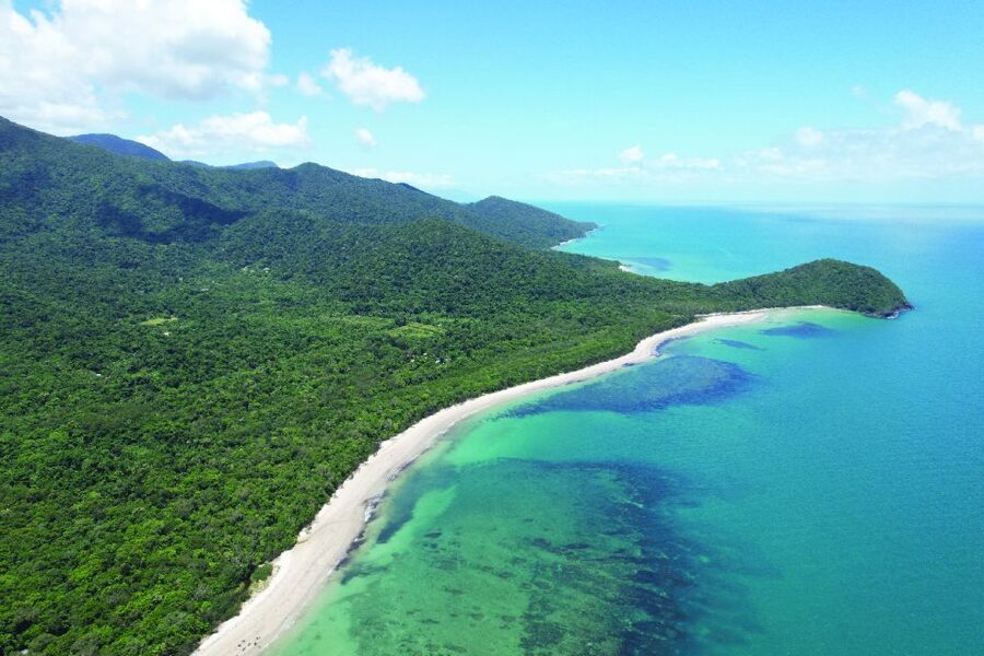 Daintree River Rainforest: Crocodile & Wildlife Cruises (DG) - Finding crocodiles along the mud banks