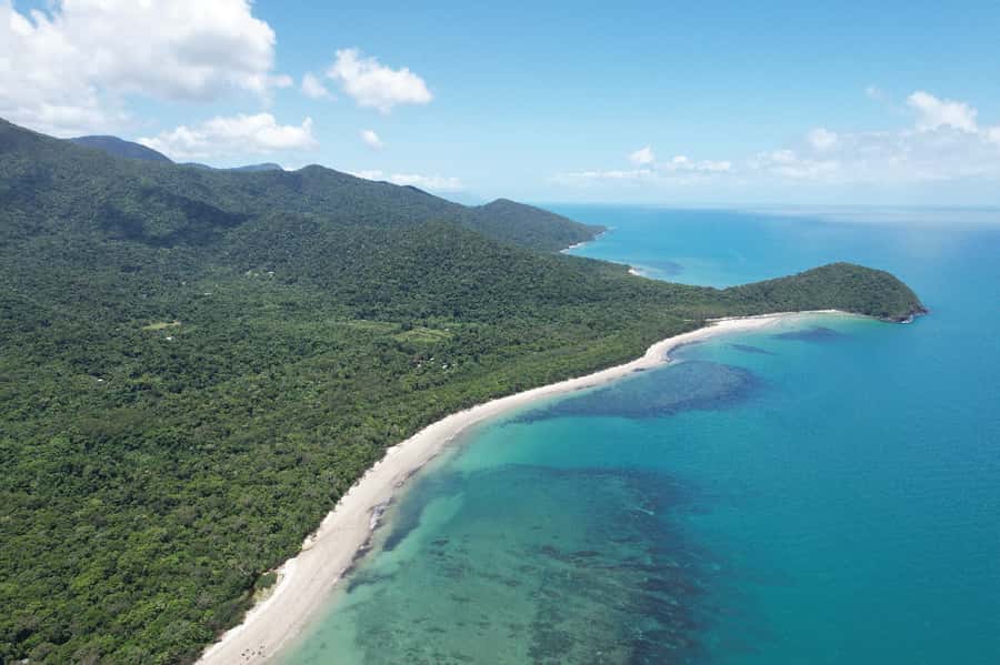 Daintree River Rainforest: Crocodile & Wildlife Cruises (DG) - The 30-day pass and the Upper Daintree option