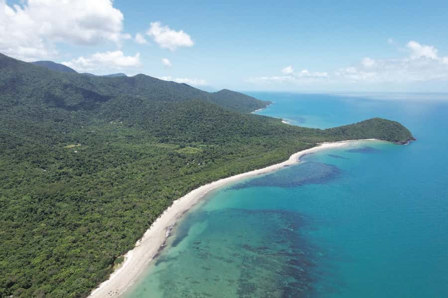 Daintree River Rainforest: Crocodile & Wildlife Cruises (DG) - Practical booking advice and value