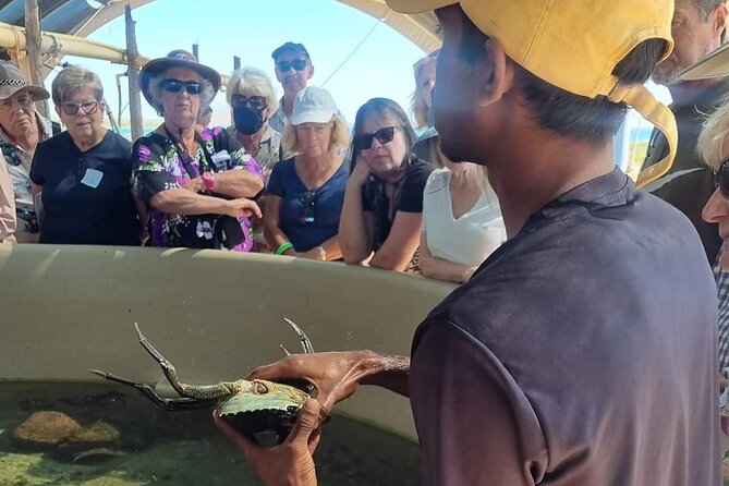 Dampier Peninsula & Aboriginal Communities from Broome (Optional Scenic Flight) - Lombadina, when the community is open