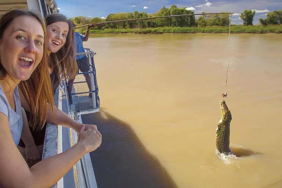 Darwin: Adelaide River Half-Day Jumping Crocs Cruise - The Adelaide River cruise and its hungry stars