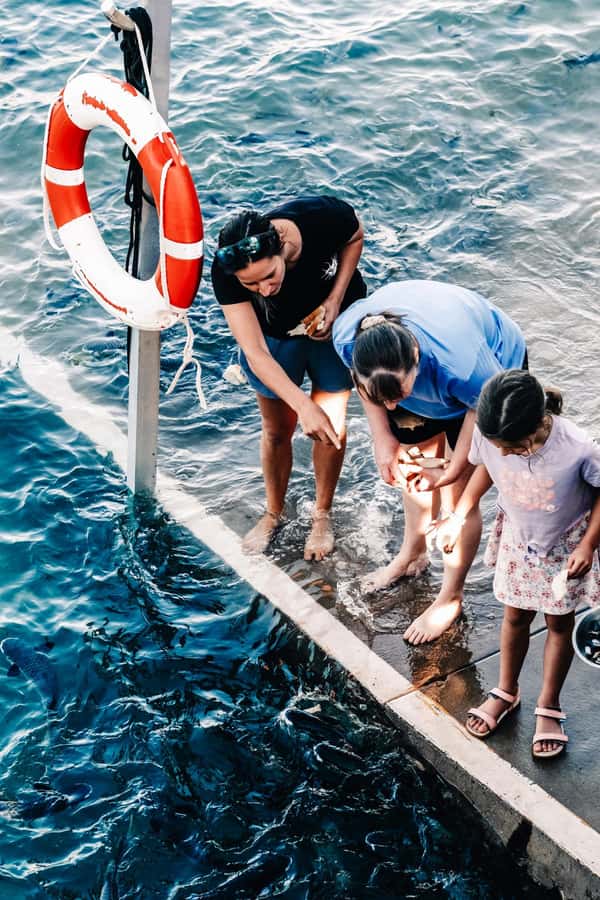 Darwin: Aquascene Fish Feeding Experience - Key points to know before you go
