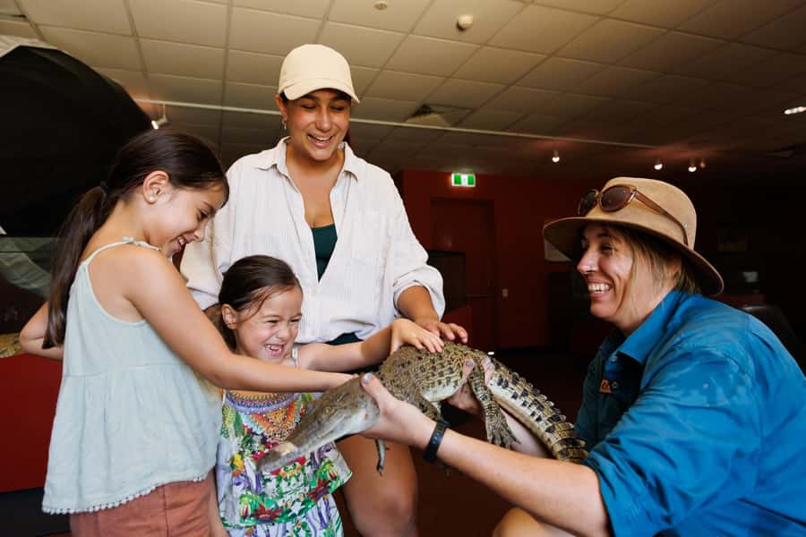 Darwin: Crocosaurus Cove Entry & Hop-on-Hop-Off Bus Tour - Expect a close look at saltwater crocodiles