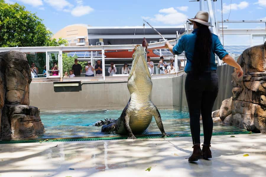 Darwin: Crocosaurus Cove Entry & Hop-on-Hop-Off Bus Tour - Handling weather and timing in Darwin