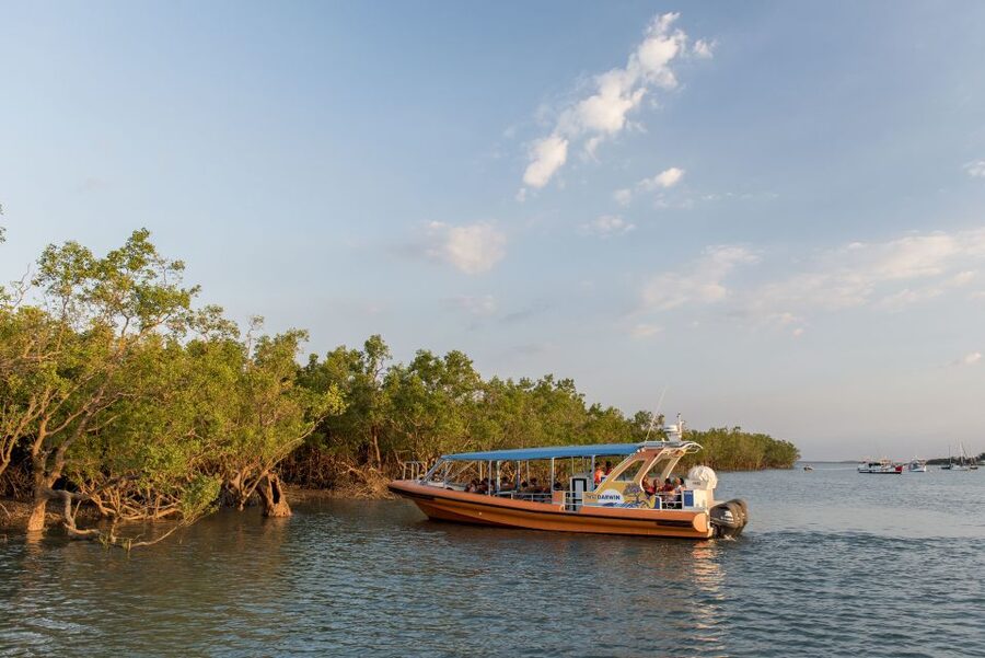 Darwin Harbour Cruise - Darwin’s wartime harbour and hidden wrecks