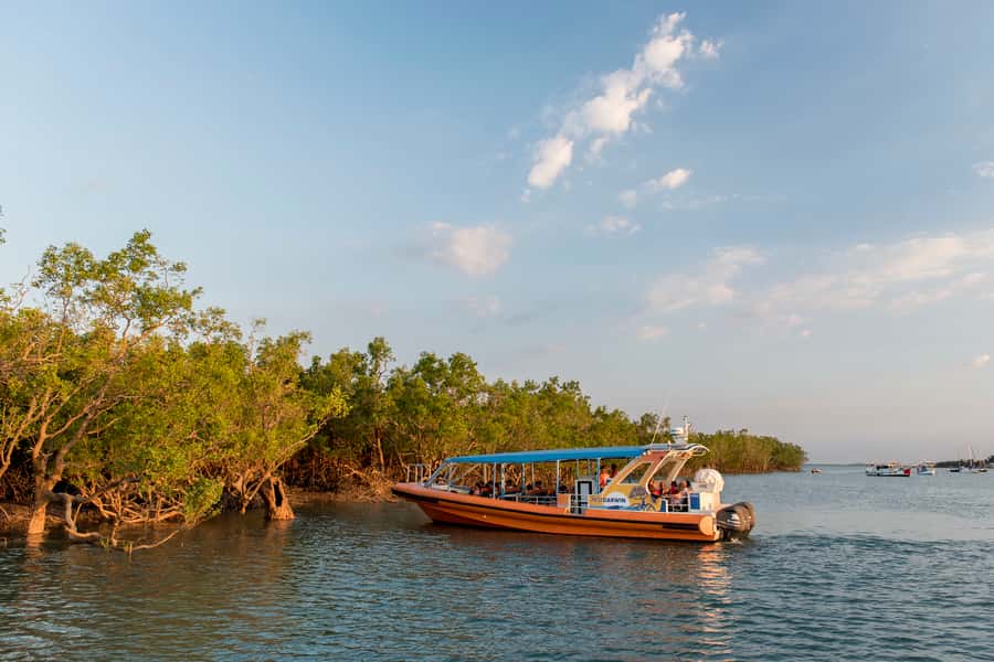Darwin Harbour Cruise - The first minutes on Darwin Harbour