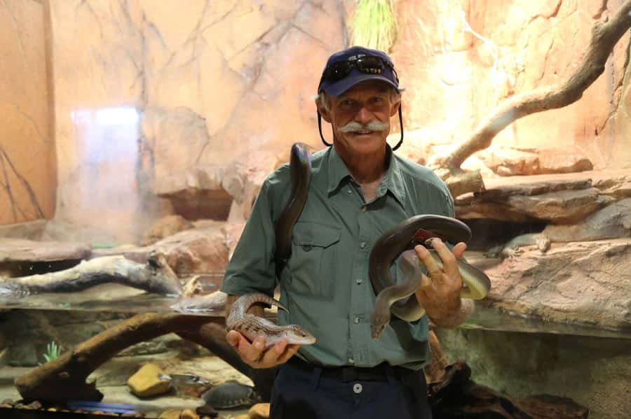Darwin: Hop-On Hop-Off Bus, Crocosaurus Cove and RFDS Entry - Key points to know before you book