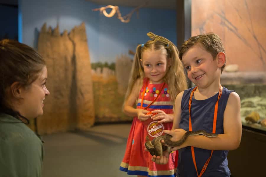 Darwin: Hop-On Hop-Off Bus, Crocosaurus Cove and RFDS Entry - Three Darwin experiences in one ticket
