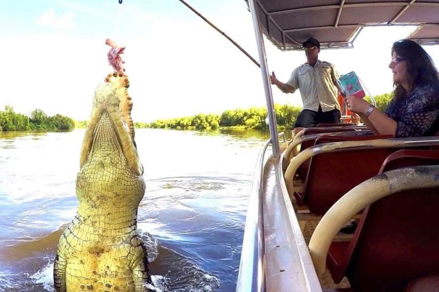 Darwin: Jumping Crocodile Adventure Cruise with Lunch - Fogg Dam brings birds and termite mounds