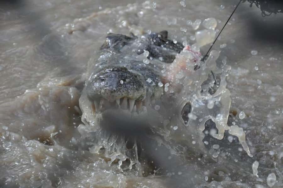 Darwin: Jumping Crocodile Adventure Cruise with Lunch - Lunch at Humpty Doo Pub adds local flavor