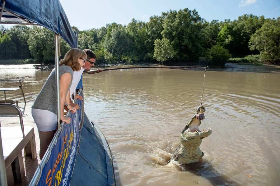 Darwin: Jumping Crocodile River Cruise with Shuttle Bus - The extra stop and the ride back to Darwin