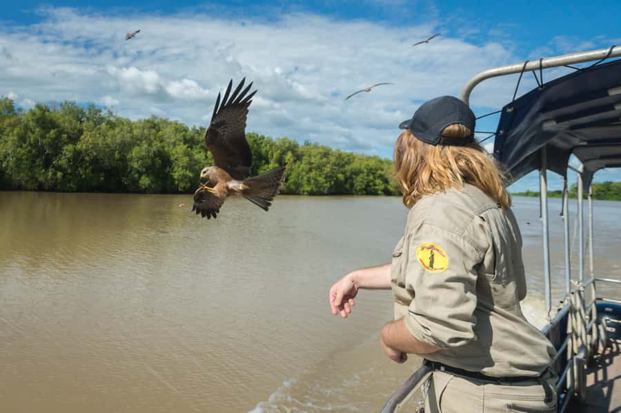 Darwin: Jumping Crocodile River Cruise with Shuttle Bus - Is $84 a good price?