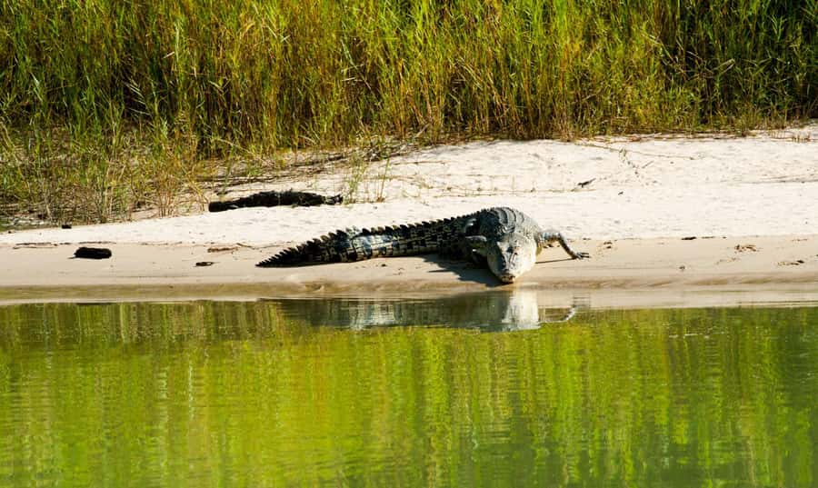Darwin: Jumping Crocodile River Cruise with Shuttle Bus - Weather, safety, and comfort on the river