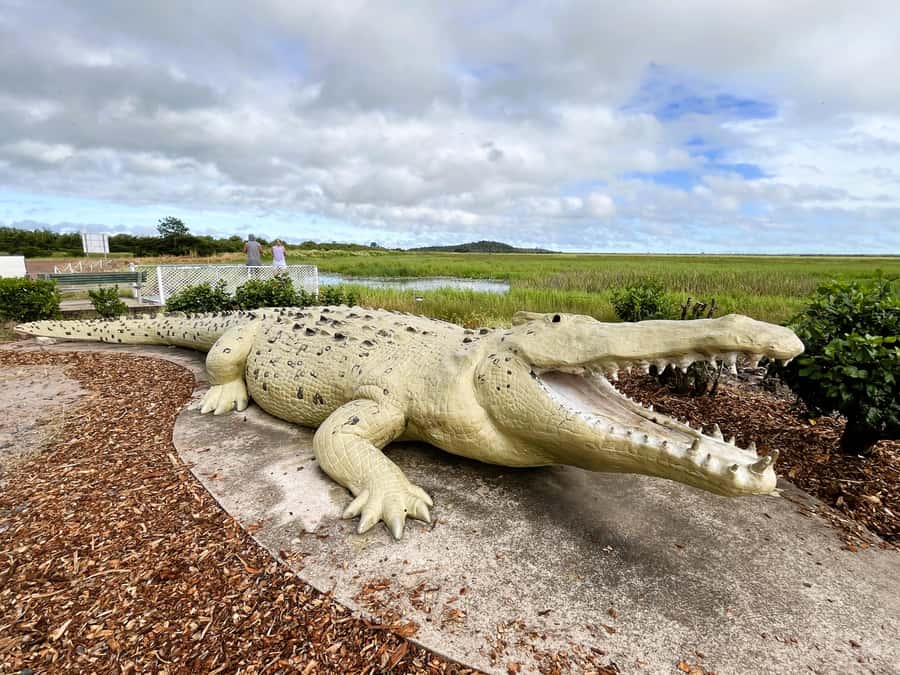 Darwin: Jumping Crocodile River Cruise with Shuttle Bus - Who will enjoy this tour most?