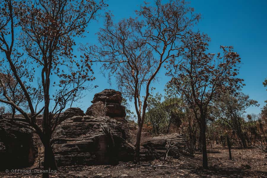 Darwin: Kakadu National Park Day Tour with Lunch - The road home and the real cost of a day trip