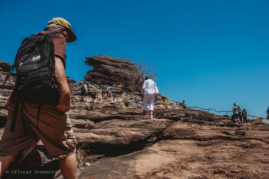 Darwin: Kakadu National Park Day Tour with Lunch - What the $240 price really covers