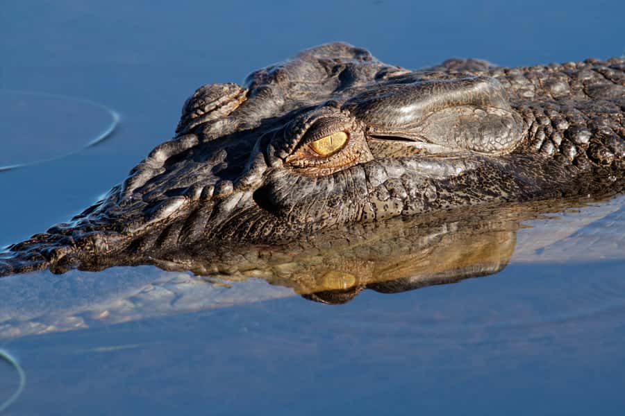 Darwin: Kakadu National Park Day Trip - Why this day trip works when time is short