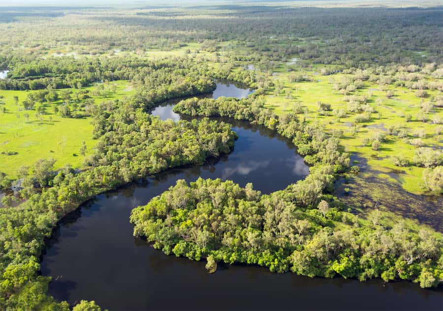 Darwin: Kakadu National Park Day Trip - Yellow Water Billabong by boat