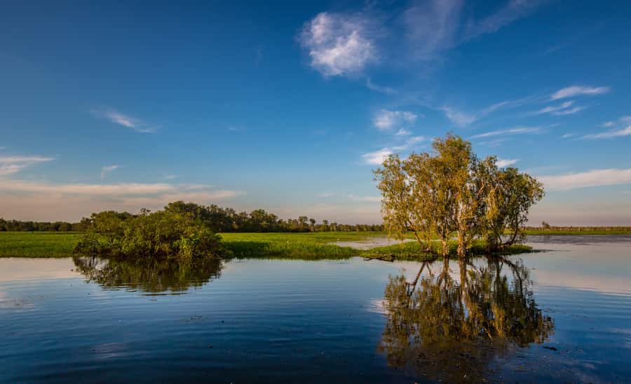Darwin: Kakadu National Park Day Trip - The return flight to Darwin