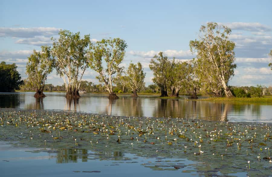 Darwin: Kakadu National Park Day Trip - Starting at the Kakadu Air Terminal
