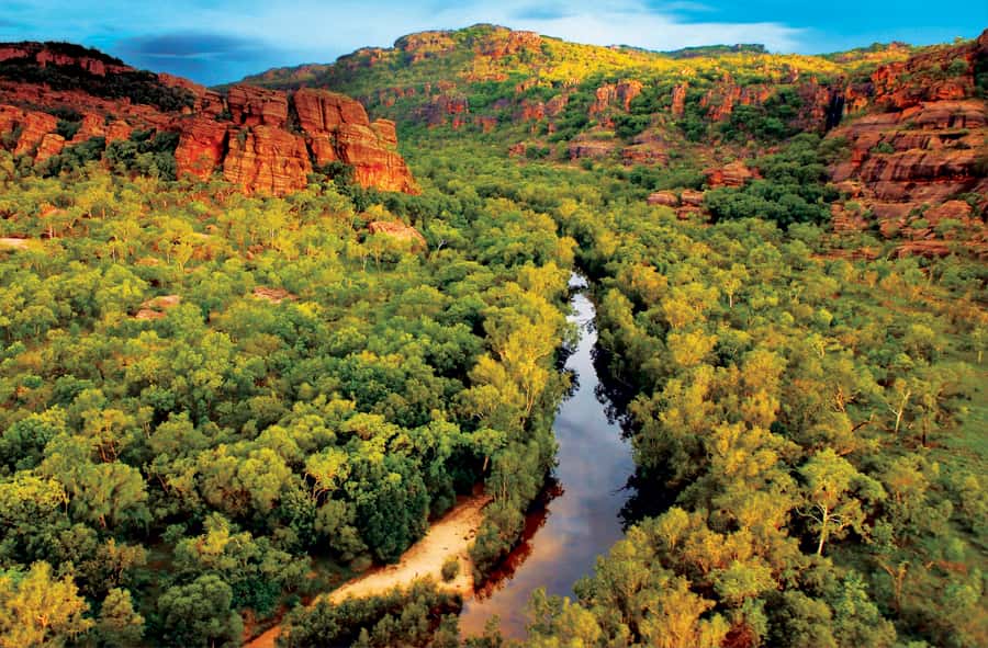 Darwin: Kakadu & Nourlangie Day Trip Plus Billabong Cruise - Key things to know before you book