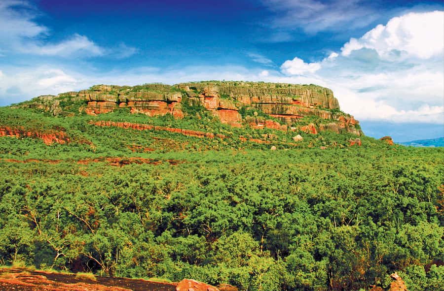 Darwin: Kakadu & Nourlangie Day Trip Plus Billabong Cruise - Nourlangie Rock and ancient Aboriginal art