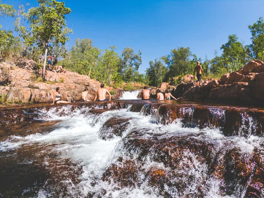 Darwin: Litchfield National Park Waterfalls & Wildlife Tour - Why this Litchfield day trip works