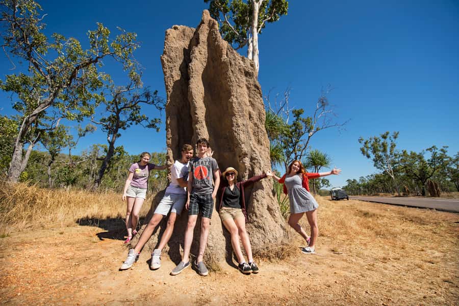 Darwin: Litchfield National Park Waterfalls & Wildlife Tour - Adelaide River: the optional jumping crocodile cruise