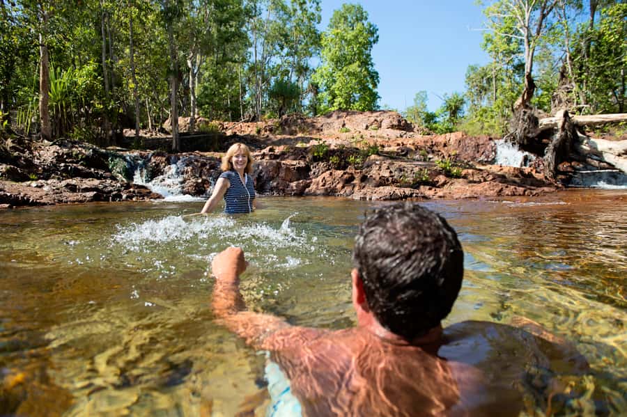 Darwin: Litchfield National Park Waterfalls & Wildlife Tour - Fogg Dam: wetlands instead of crocodile theatrics