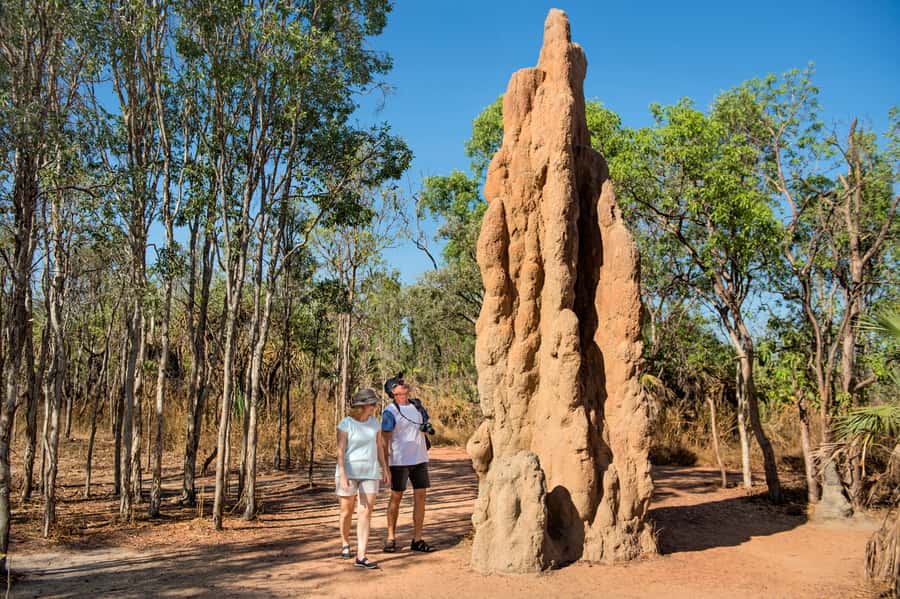 Darwin: Litchfield National Park Waterfalls & Wildlife Tour - Florence Falls brings the first major swim