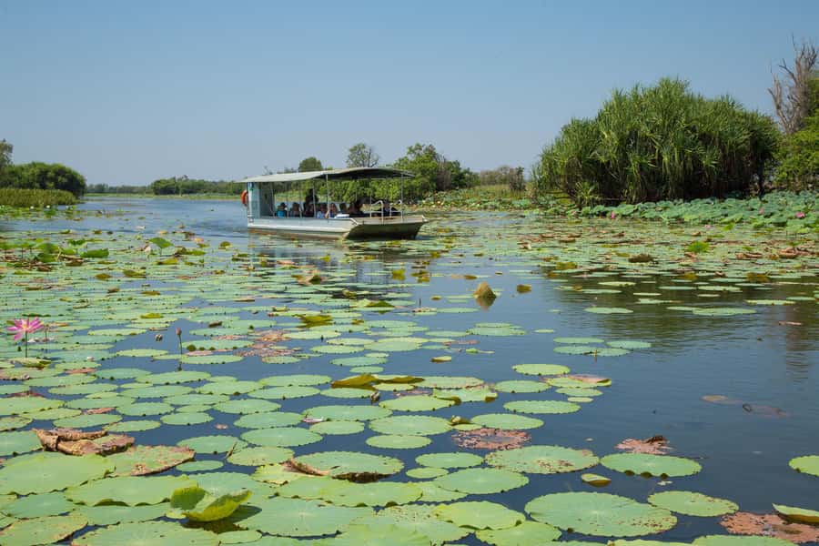 Darwin: Mary River Wetlands Wildlife Cruise with Lunch - The ride from Darwin to Fogg Dam