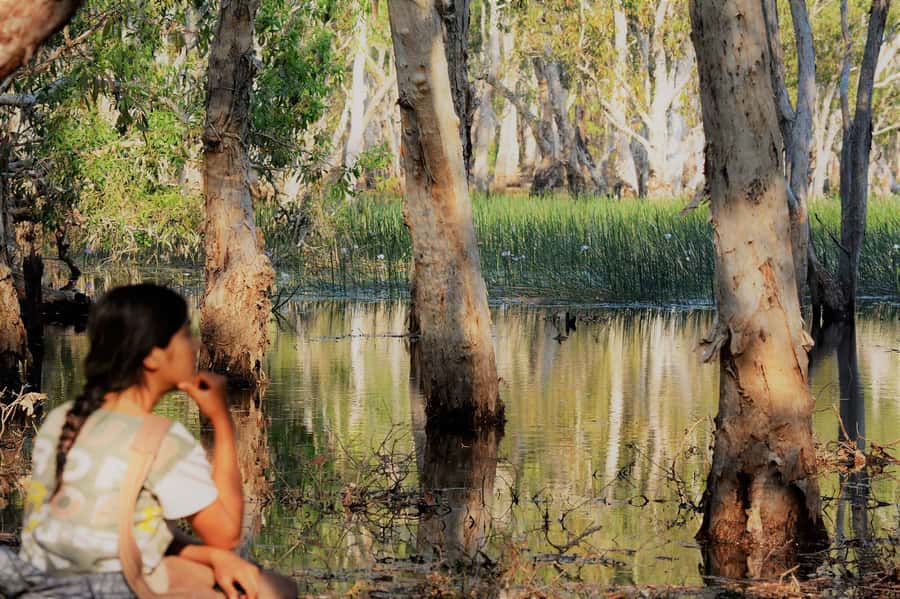 Darwin: Premium Litchfield Regional Small Group Day Tour - Litchfield National Park, with room to change course