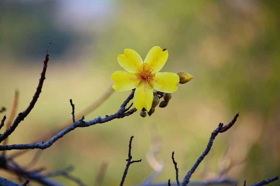 Darwin: Premium Litchfield Regional Small Group Day Tour - The guides make the long day worthwhile