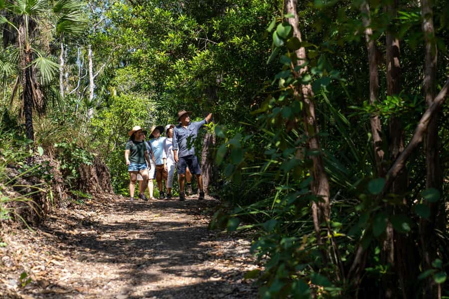 Darwin: Premium Litchfield Regional Small Group Day Tour - Lunch and snacks are not an afterthought