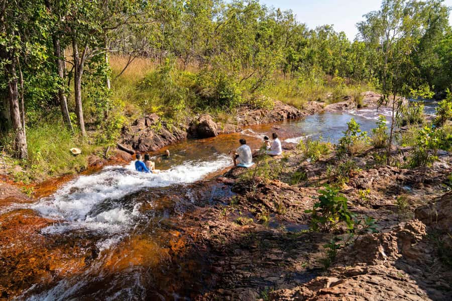 Darwin: Premium Litchfield Regional Small Group Day Tour - Transport, comfort, and the practical limits