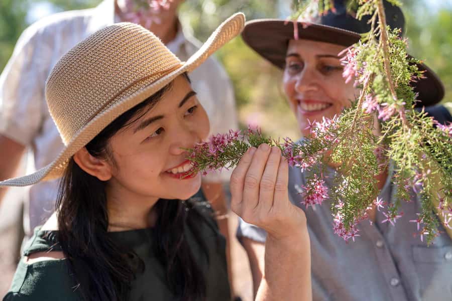 Darwin: Premium Litchfield Regional Small Group Day Tour - Is $201 good value?
