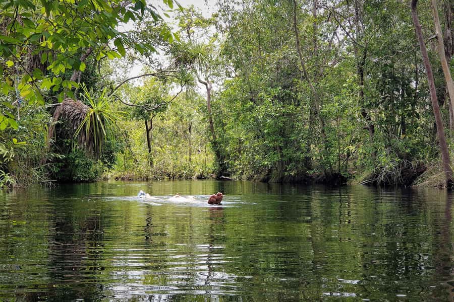 Darwin: Premium Litchfield Regional Small Group Day Tour - Who should book this day?